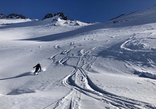 Making tracks towards the refuge