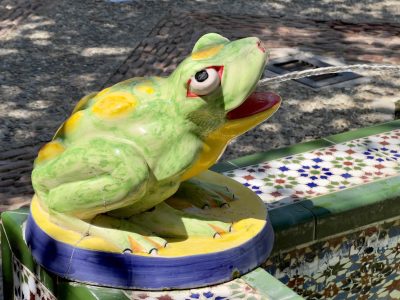 260726 Tarifa frog