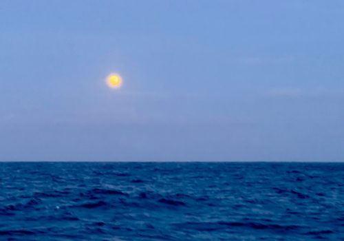 310526 Atlantic Moon