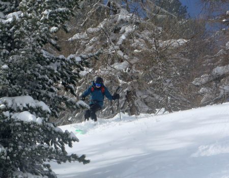 Jono in the trees