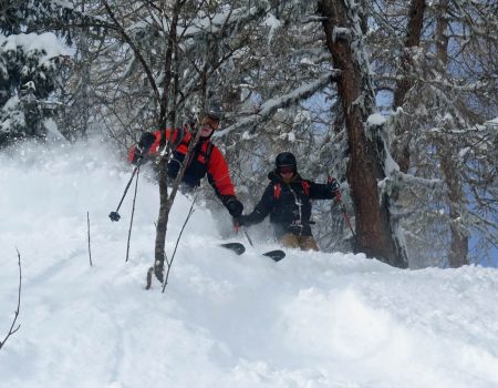 Nick and Chris enjoy the tree skiing