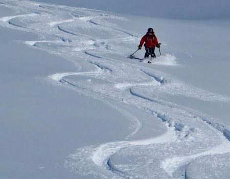 David making fresh tracks