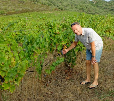 Jono inspects the grapes!